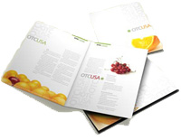 A3 Brochure Sample